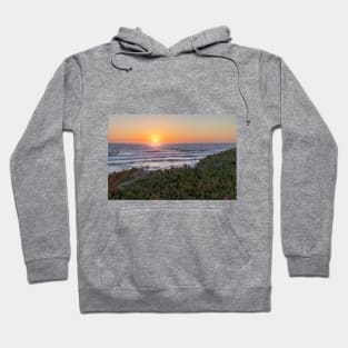 Sand Dunes and Plants during Sunset at the Beach Hoodie